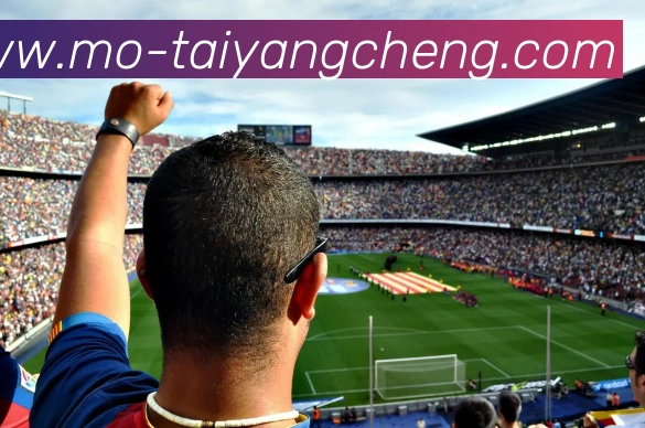 多媒体互动体验